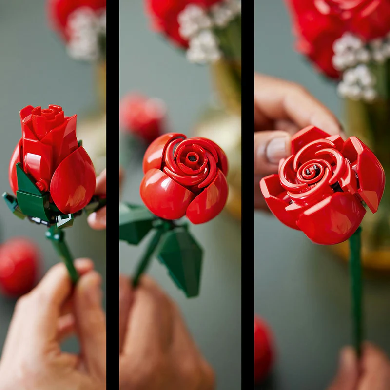 Ramo de Rosas - Imagen 5