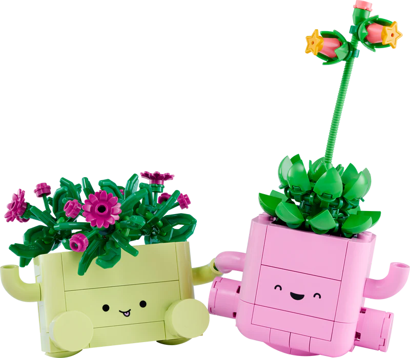 Plantas Bailarinas - Imagen 7