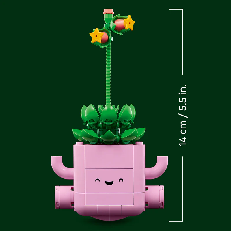 Plantas Bailarinas - Imagen 6